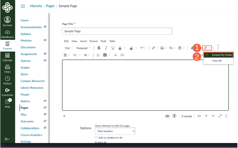 Embed Kaltura Media&rdquo; button on Canvas editor