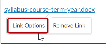 Syllabus link options selected.